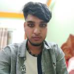 Md Ariful Islam Profile Picture