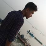 Mainul Raj Profile Picture