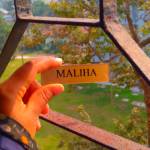 Maliha Mithila Profile Picture