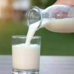 Bd Milk Profile Picture