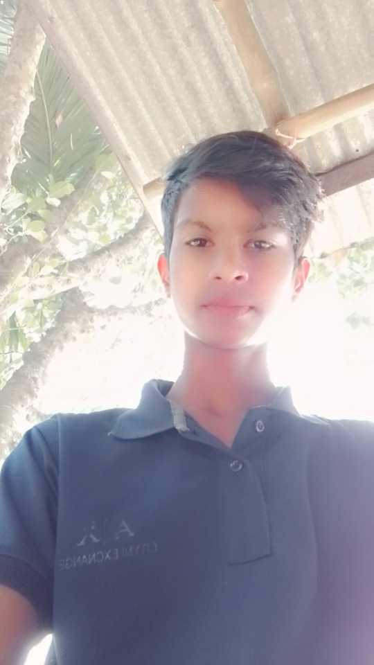 User Image