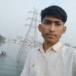 Md Arfan Ali Profile Picture