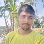 Ariful islam Profile Picture