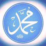 Md Meftabul islam Profile Picture