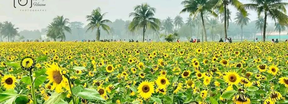 Md Nazmul Hossen Cover Image