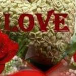 Hmidurrahman Profile Picture
