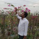 Mdmahadi Hasan Profile Picture