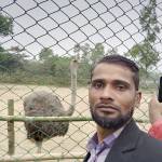 Md Aminul Islam Profile Picture