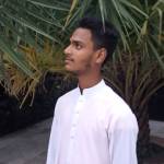 Taohidul Islam Profile Picture