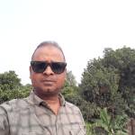 Mamun Hossain Profile Picture