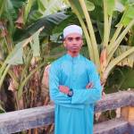 Md Asmaul ali Profile Picture