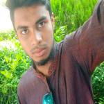 Maruf Islam Profile Picture