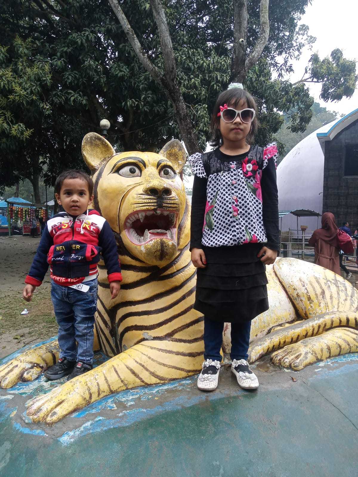User Image