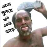 mujiborrahaman college Profile Picture