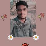 Avi Mandal Profile Picture