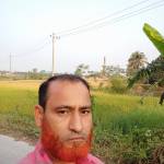 Mafizul Islam Profile Picture